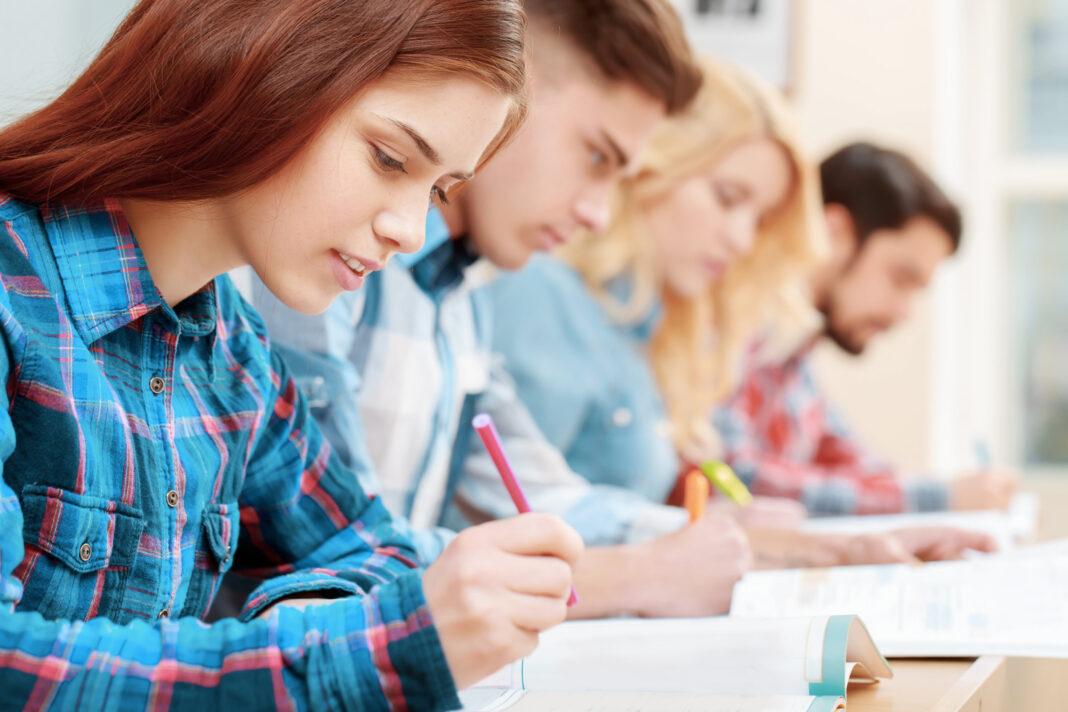 Essay Writing Services